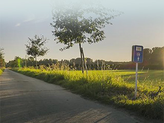 Biking route network