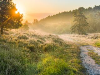 Nationaal Park Hoge Kempen